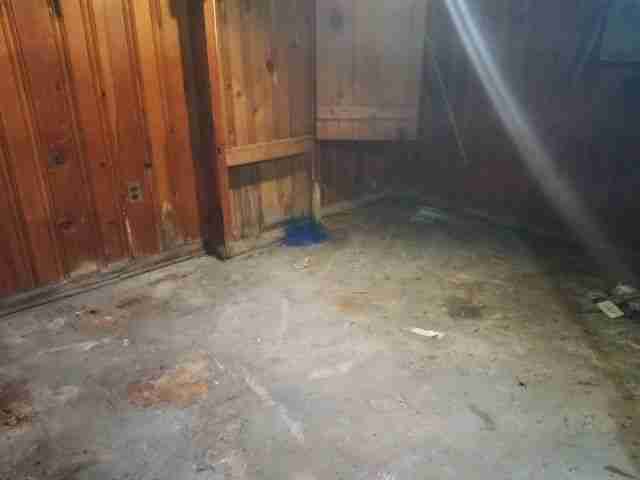 Testing again(48).jpg